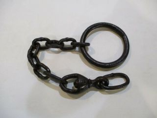 Newhouse Number 50 Bear Trap Chain / Hutzel / Trapping /