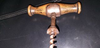 Rare Antique corkscrew 19th century 11