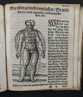1591 Ryff,  Ein Newer Albertus Magnus,  Gynaecology & Nature,  Woodcuts,  Rare