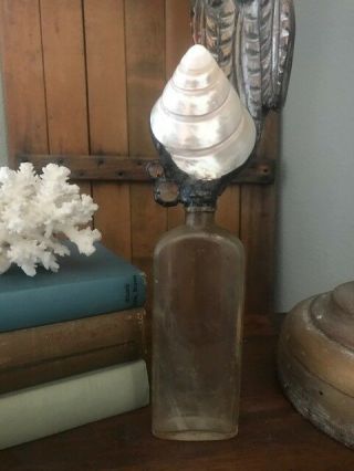 Troca Shell & Crystal On Vintage Bottle 9.  75 "