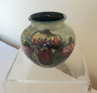 Vintage Moorcroft Pottery Tube Lined Stunning “orchids " Flowers Small Vase
