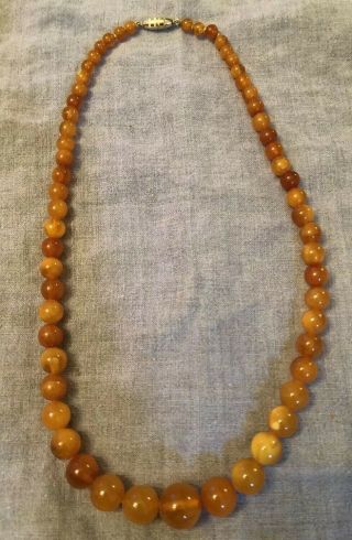 Antique Vintage Round Egg Yolk Baltic Butterscotch? Amber Beaded Necklace 25g