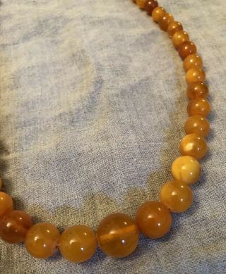 Antique Vintage Round Egg Yolk Baltic Butterscotch? Amber Beaded Necklace 25g 2