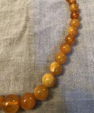 Antique Vintage Round Egg Yolk Baltic Butterscotch? Amber Beaded Necklace 25g 3