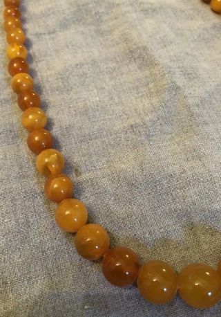 Antique Vintage Round Egg Yolk Baltic Butterscotch? Amber Beaded Necklace 25g 5