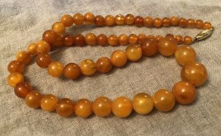 Antique Vintage Round Egg Yolk Baltic Butterscotch? Amber Beaded Necklace 25g 8