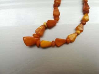 VINTAGE NATURAL BALTIC BUTTERSCOTCH YELLOW AMBER NECKLACE BEADS 19 gr 5