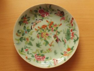 Vintage Oriental Hand Painted Plate Signed Flower,  Bird & Butterfly Design
