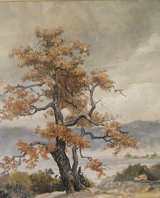 Large Oak Tree Vtg 1971 Watercolor Orig.  Painting Chinese Artist Stamp Signed