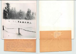 1945 Wwii German Helmet Death Grave Houffalize Belgium War Acme Press Photo 8x8
