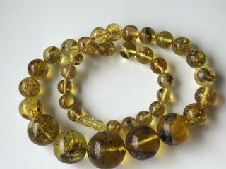 Natural Vintage Amber Beads Antique Baltic Old Necklace 57.  85 gr 3