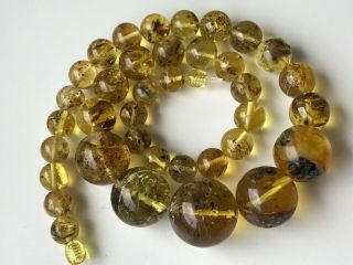 Natural Vintage Amber Beads Antique Baltic Old Necklace 57.  85 gr 5