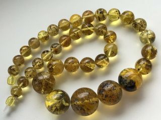 Natural Vintage Amber Beads Antique Baltic Old Necklace 57.  85 gr 7