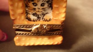 VINTAGE HAND - PAINTED ARTIST SIGNED CAT IN CARRIER - LIMOGES FRENCH PORCELAIN BOX 5