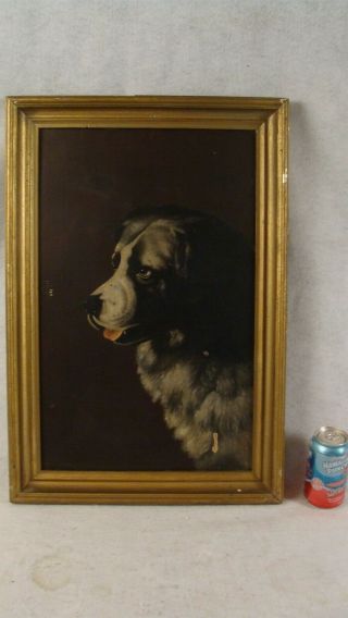 Antique 19c American School St Bernard Dog Oil Painting
