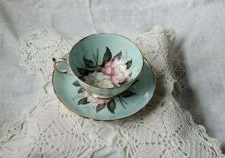 Rare Vintage Paragon Gardenia Tea Cup And Saucer,  White,  Pink And Blue Flowers