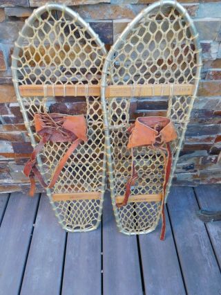 Vintage Ski - Doo Snowshoes