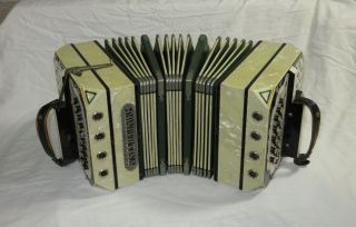 Vintage Antique Mother Of Pearl Concertina Accordion W/ Carrying Case