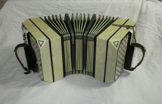 Vintage Antique Mother of Pearl Concertina Accordion w/ Carrying Case 4