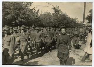 Wwii Large Size Press Photo: Hoards Of Convoyed German Pow 