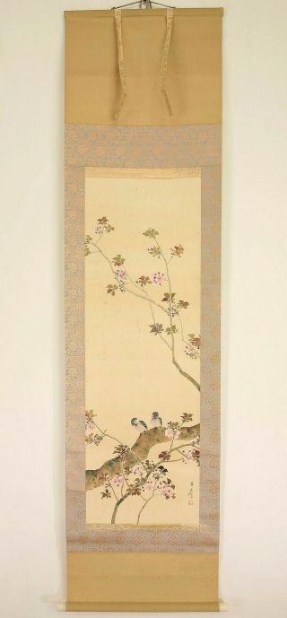 掛軸1967 Japanese Hanging Scroll : Kinrei " Two Birds And Cherry Tree " @n278
