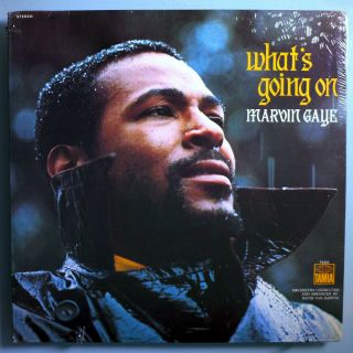 Marvin Gaye What 