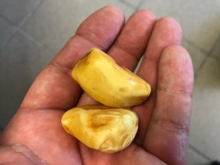 Natural Old Vintage Baltic Amber Stones.  Egg Yolk Butterscotch 24.  5g 2