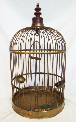 Antique Brass Domed Bird Cage Round French Canary Finch Parakeet Vintage