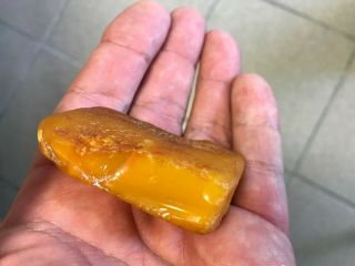 Natural Old Vintage Baltic Amber Stone.  Egg Yolk Butterscotch 26.  6g 4