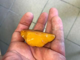Natural Old Vintage Baltic Amber Stone.  Egg Yolk Butterscotch 26.  6g 5