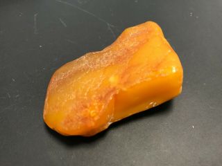 Natural Old Vintage Baltic Amber Stone.  Egg Yolk Butterscotch 26.  6g 7