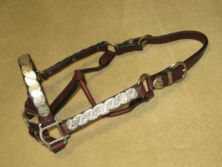 Vintage Billy Royal Western Sms Show Halter With Gorgeous Silver Bronze