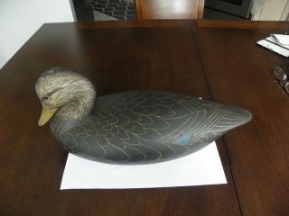 BLACK DUCK DECOY BY R.  J.  