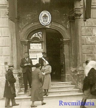 Rare: German Occupation Orders On City Hall Doors,  Varazdin,  Croatia 1941