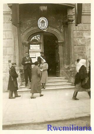 RARE: German Occupation Orders on City Hall Doors,  VARAZDIN,  Croatia 1941 2