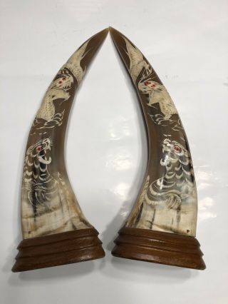 Antique Pair Vintage Asian Buffallo Horn Inscribed With Dragons And Tiger