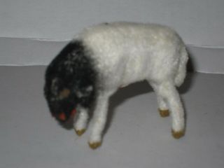 Mini Size Kunstlerschutz Eating Black & White Sheep