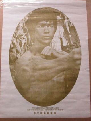 Bruce Lee Intercepting Fists Karate Kung Fu Master Vintage Poster Cng247