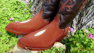 Black Jack " Inlay " Sea " Stingray " Skin " Rare " Western Cowboy Boots 10.  5 Ee