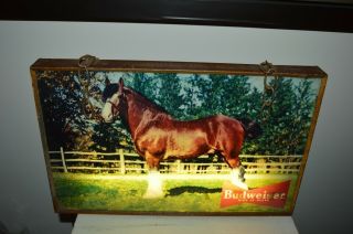 Antique Vintage Budweiser Clydesdale Beer Lighted Bar Sign Raymond Price