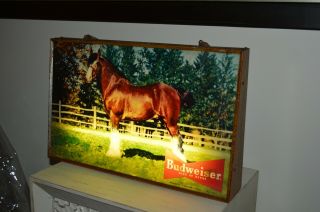 ANTIQUE VINTAGE BUDWEISER CLYDESDALE BEER LIGHTED BAR SIGN Raymond Price 5