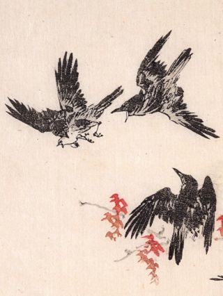 Kawanabe Kyosai,  Authentic,  Antique Woodblock Print—Kyosai Ragaku FINE 5