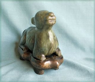 Antique Chinese Soapstone Carving Foo Dog Fitted Wooden Stand shoushan old China 8