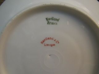Antique Haviland/Limoges/France/Trailing Rose Chocolate Pot W/Cups & Saucers 12