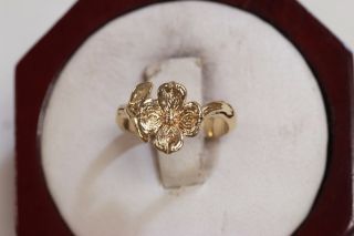 Retired & Rare James Avery 14k Gold " Dogwood " Flower Ring Size 4