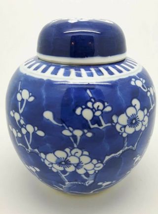 Antique Chinese Porcelain Prunus Blossom Ginger Jar & Cover 6” Kangxi