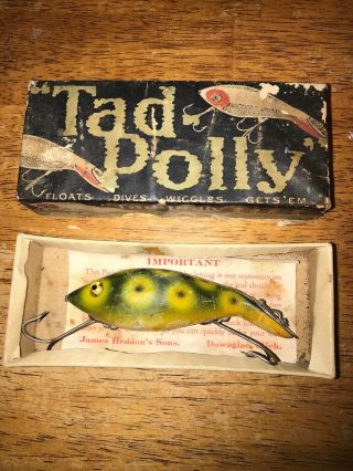 Vintage Rare Heddon Tad - Polly Frog 6009b Intro Box Tadpolly Lure Wow