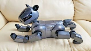 Sony Aibo Robot ERS - 210 Dark Gray [Boxed] w/ Aibo Life - & - RARE 5