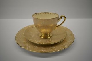 Vintage Shelley Tea Cup Saucer 8” Plate Trio Gold Chintz Cactus Poinsettia Rare