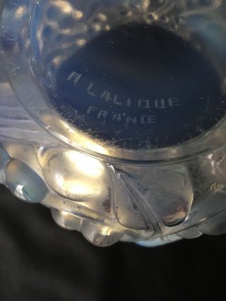 RARE R.  LALIQUE FRANCE AVALLON VASE,  BIRDS & BERRY 11